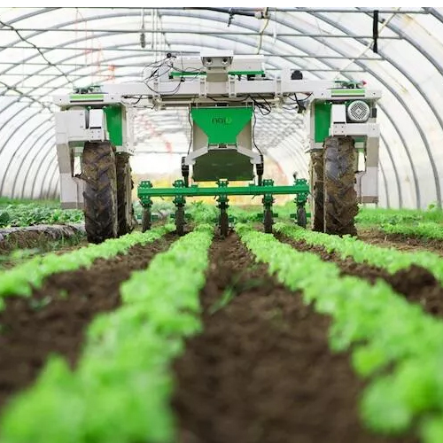 Agriculture Product Stocks