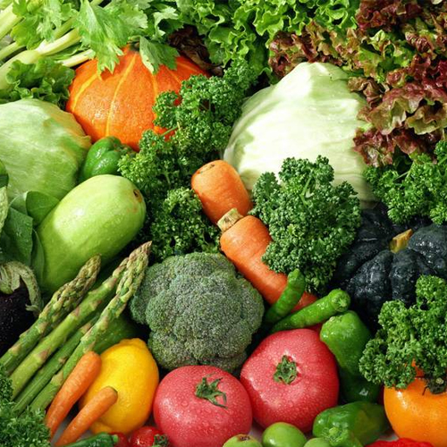 Agriculture Product Stocks