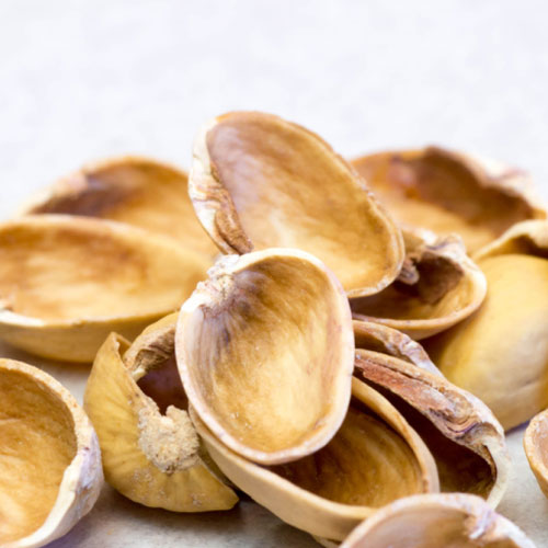 Pistachio Shells