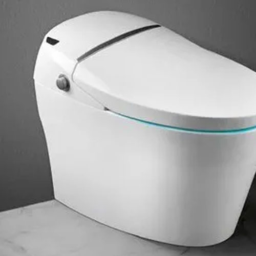 Parryware Toilet Seats