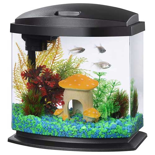 Fish Tanks