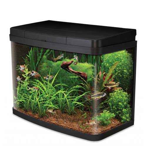 Fish Tanks