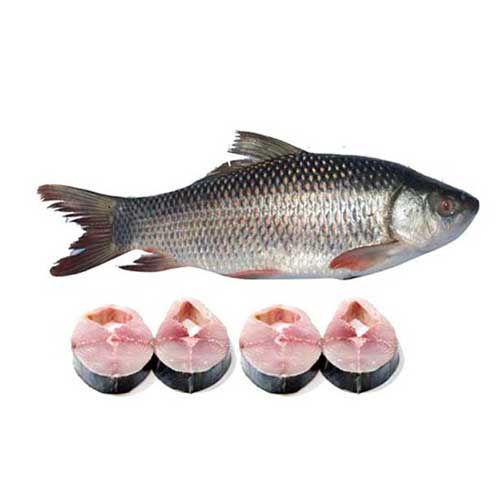 Rohu Fish