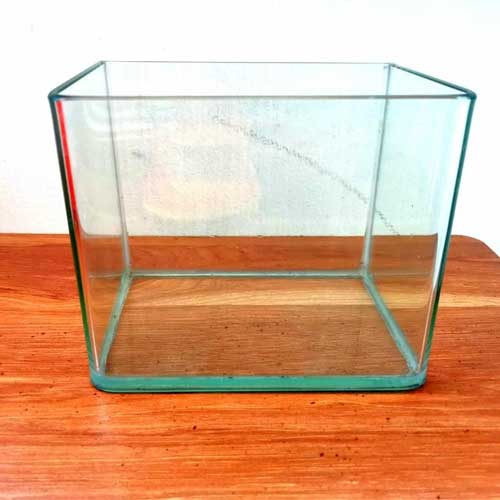 Glass Aquarium