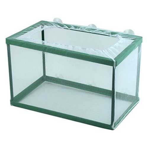 Glass Aquarium