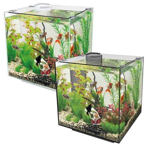 Freshwater Aquarium