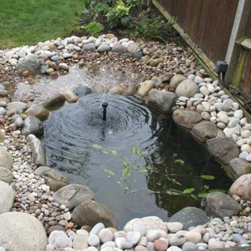 Fish Pond