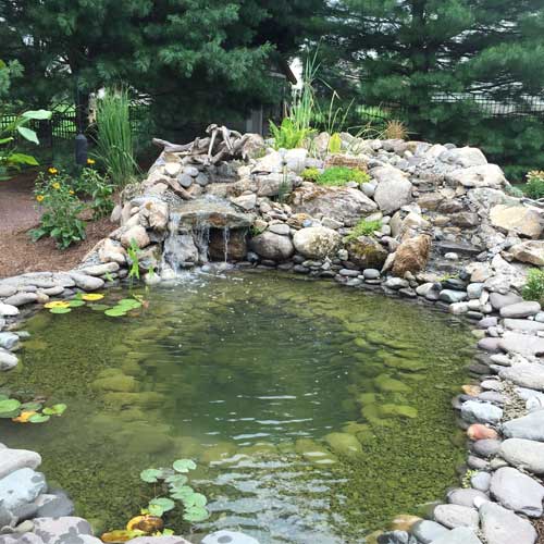 Fish Pond