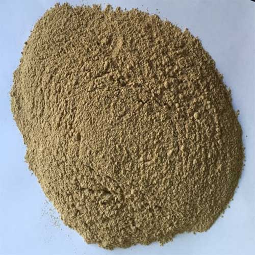 Aquaculture Probiotics