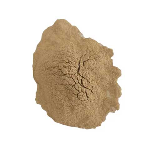 Aquaculture Probiotics