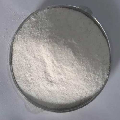 Aquaculture Probiotics