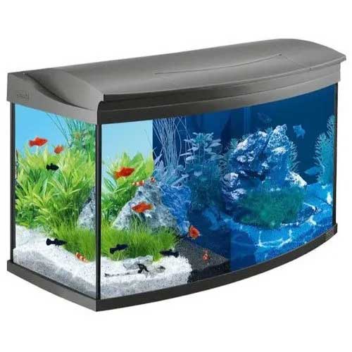 Tropical Aquariums