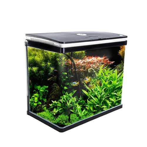 Tropical Aquariums
