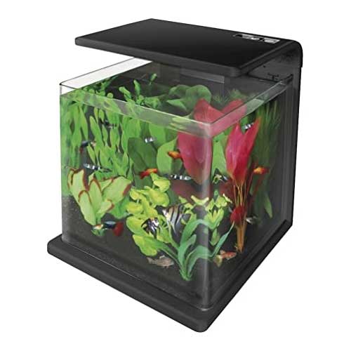 Tropical Aquariums