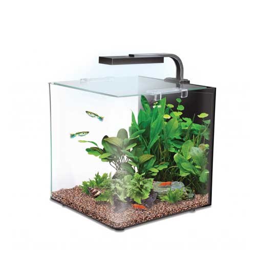Tropical Aquariums