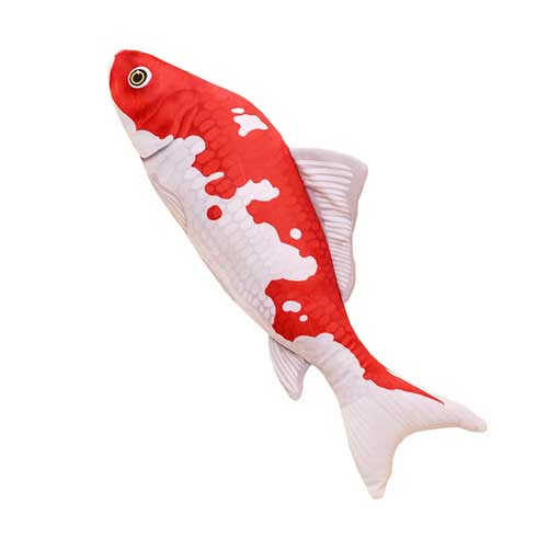 Koi Fish