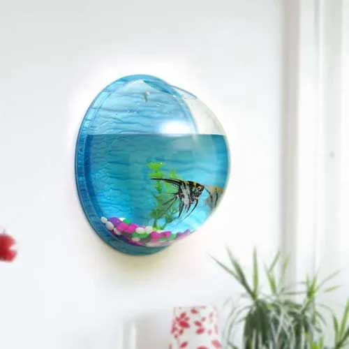 Wall Mounted Aquarium