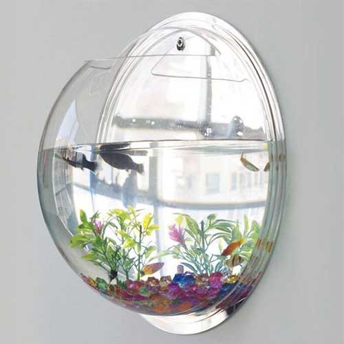 Wall Mounted Aquarium