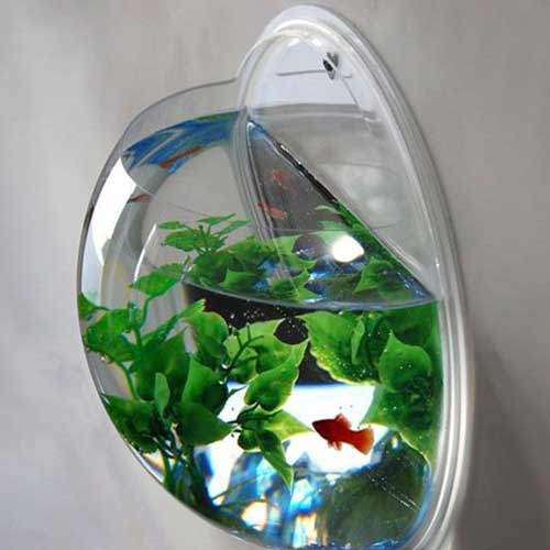 Wall Mounted Aquarium