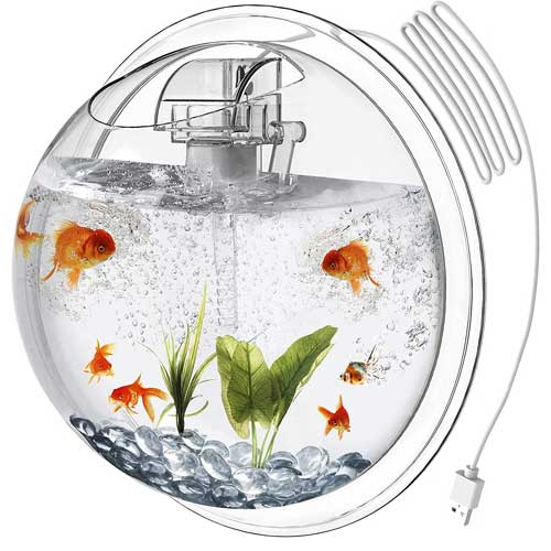 Wall Mounted Aquarium