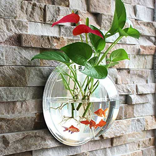 Wall Mounted Aquarium