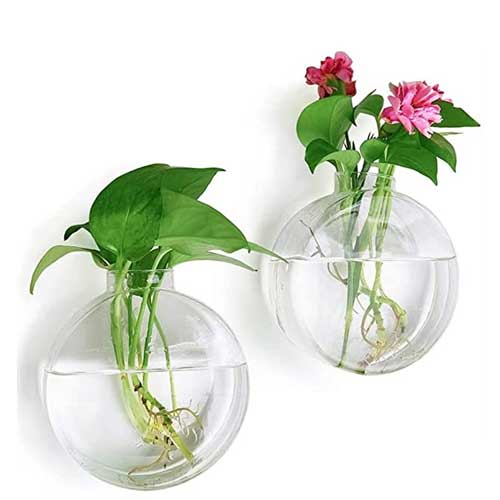 Wall Mounted Aquarium