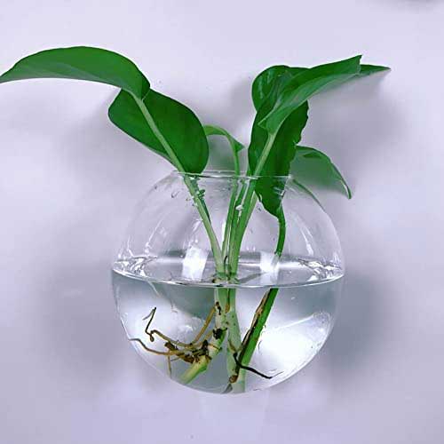 Wall Mounted Aquarium