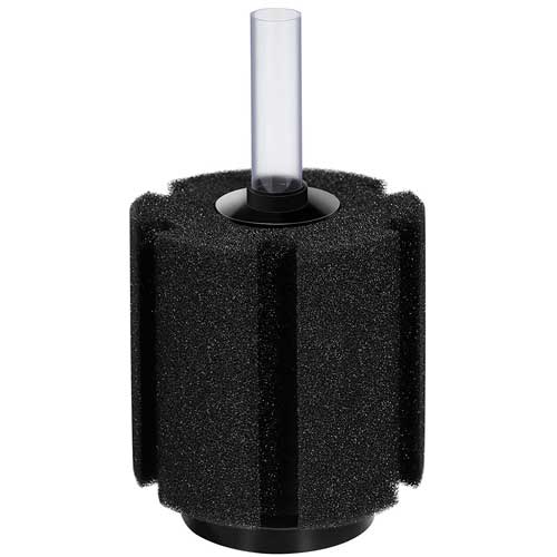 Sponge Filter