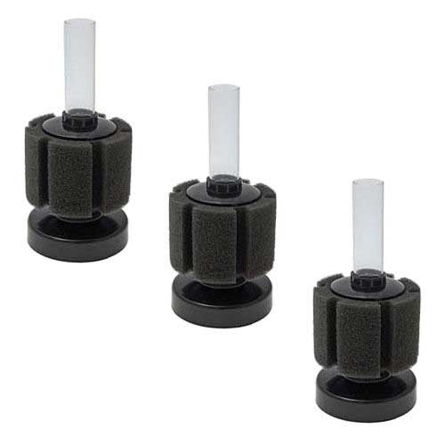 Sponge Filter