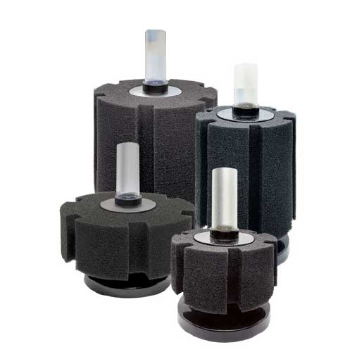 Sponge Filter