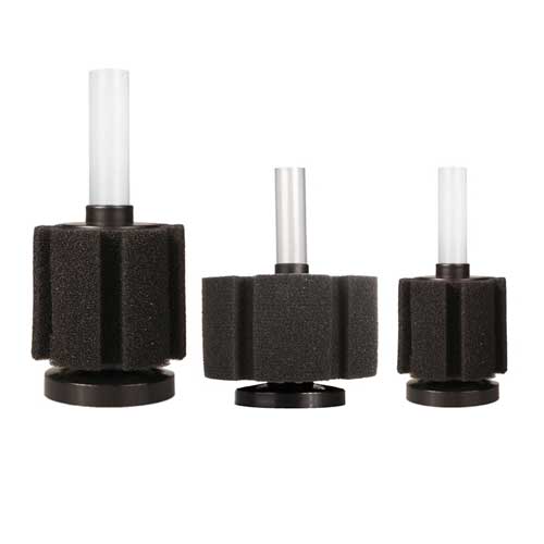 Sponge Filter