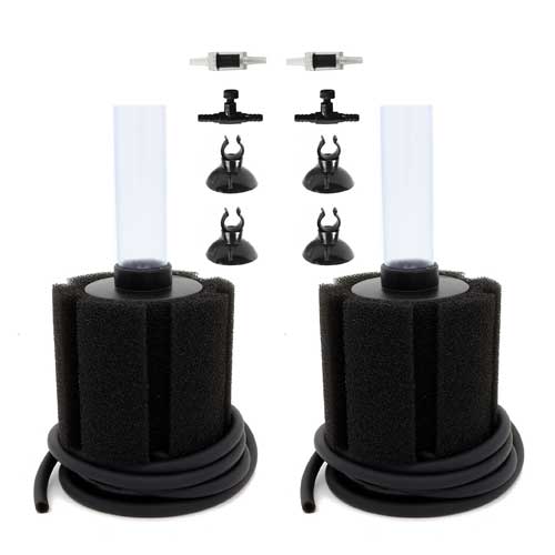 Sponge Filter
