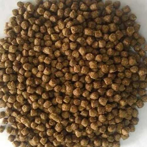 Organic Fish Feed