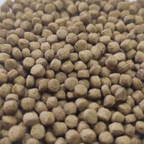 Organic Fish Feed