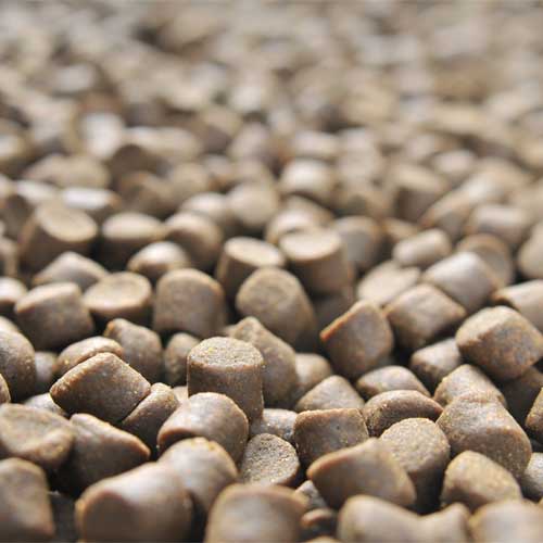 Organic Fish Feed