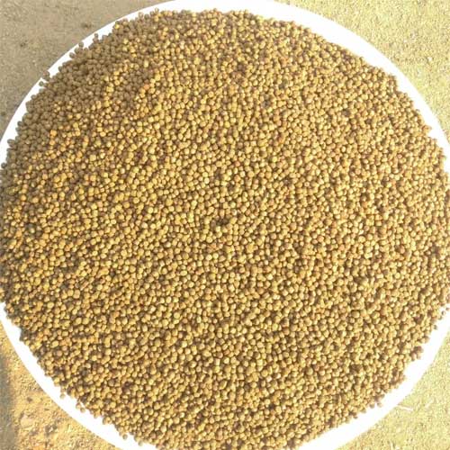 Organic Fish Feed
