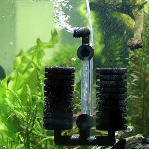 Aquarium Sponge Filters