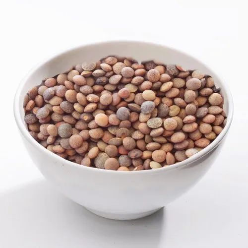 Lentil Beans