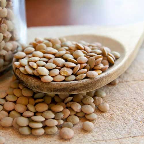 Lentil Beans