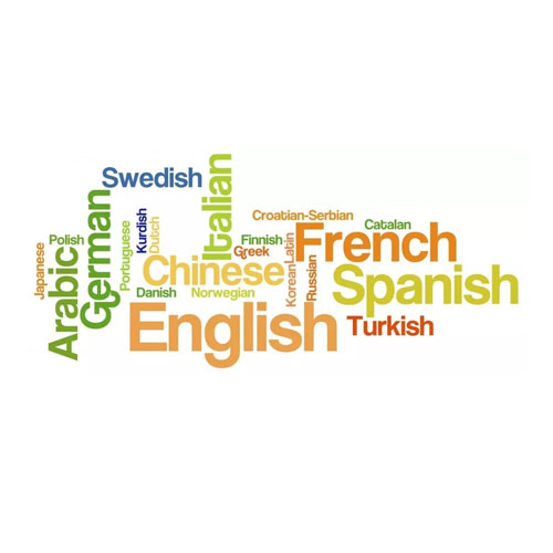 Language Translation Service