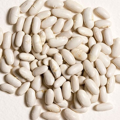 Dried White Beans