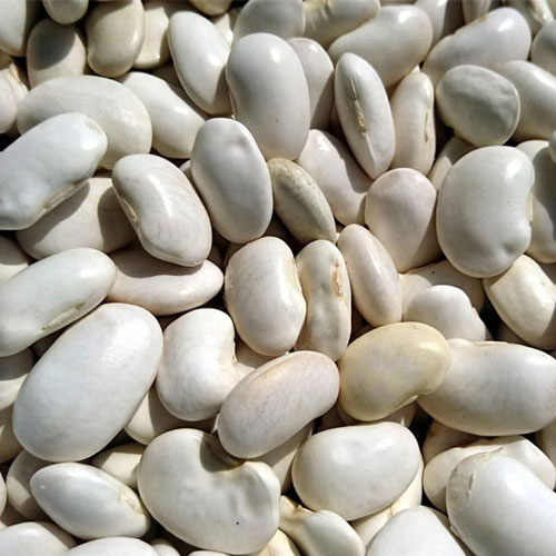 Dried White Beans