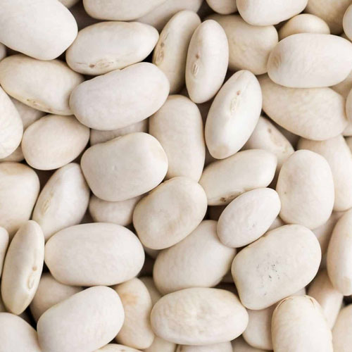 Dried White Beans