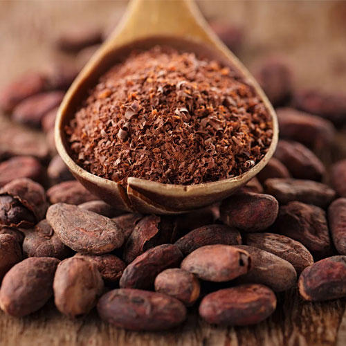 Fermented Cocoa Beans