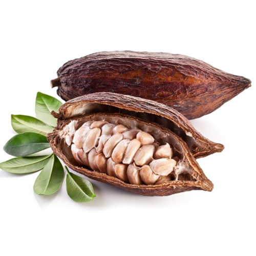Fermented Cocoa Beans