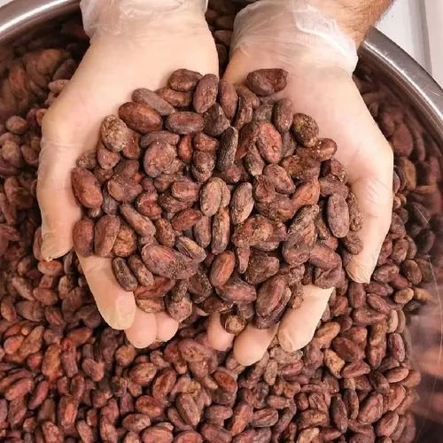 Fermented Cocoa Beans