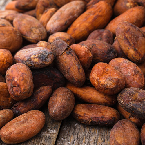 Fermented Cocoa Beans