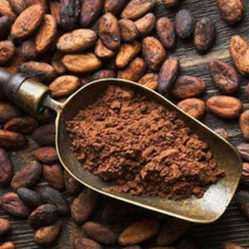 Fermented Cocoa Beans