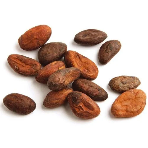 Fermented Cocoa Beans