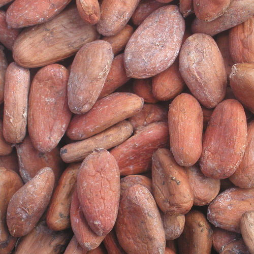 Fermented Cocoa Beans